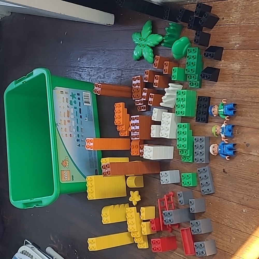 LEGO Duplo Set 5481 (Zoo) - 99% Complete